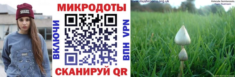 Галлюциногенные грибы Magic Shrooms  Константиновск 